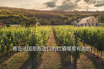 青岛法国原瓶进口的红酒哪里有卖的