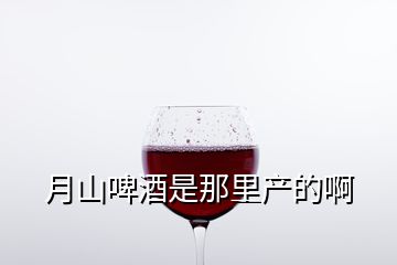 月山啤酒是那里产的啊