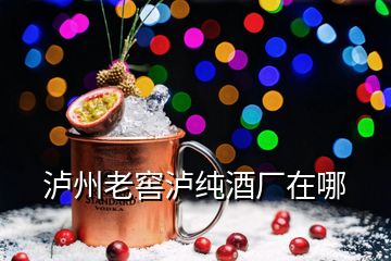 泸州老窖泸纯酒厂在哪