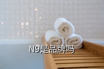 N9是品牌吗