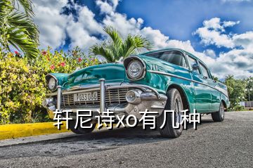 轩尼诗xo有几种