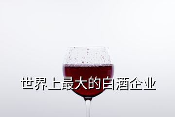 世界上最大的白酒企业