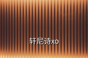 轩尼诗xo