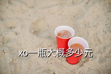 xo一瓶大概多少元