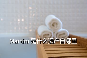 Martini 是什么酒产自哪里