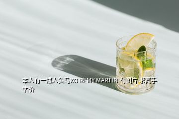 本人有一瓶人头马XO REMY MARTIN 有图片 求高手估价