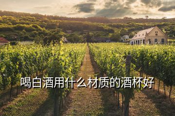喝白酒用什么材质的酒杯好