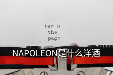 NAPOLEON是什么洋酒