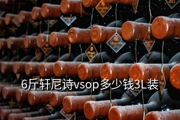 6斤轩尼诗vsop多少钱3L装