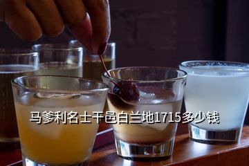 马爹利名士干邑白兰地1715多少钱