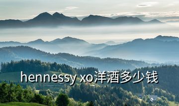 hennessy xo洋酒多少钱