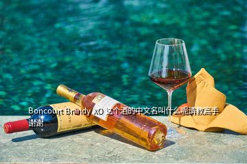 Boncourt Brandy XO 这个酒的中文名叫什么呢请教高手谢谢