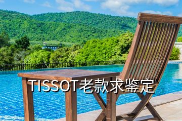 TISSOT老款求鉴定