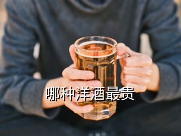 哪种洋酒最贵