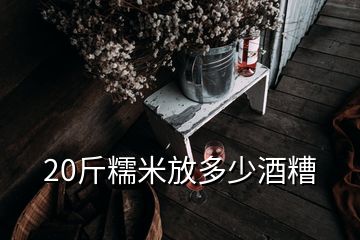 20斤糯米放多少酒糟