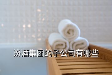 汾酒集团的子公司有哪些