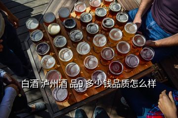 白酒 泸州酒 品9 多少钱品质怎么样