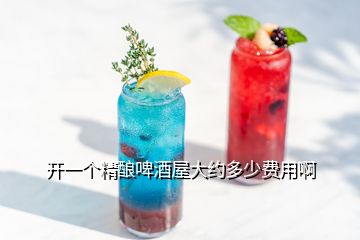 开一个精酿啤酒屋大约多少费用啊