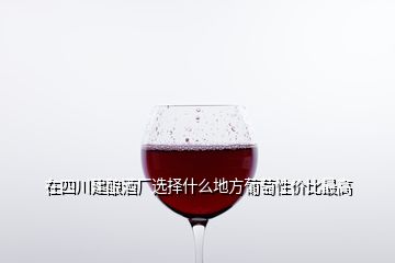 在四川建酿酒厂选择什么地方葡萄性价比最高