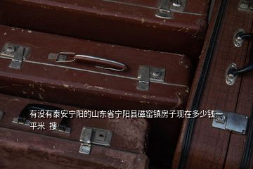 有没有泰安宁阳的山东省宁阳县磁窑镇房子现在多少钱一平米  搜