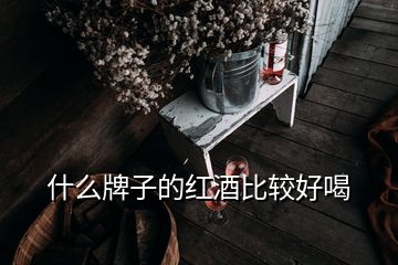 什么牌子的红酒比较好喝