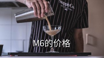 M6的价格