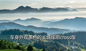 车身外观黑色的长城炫丽cross版