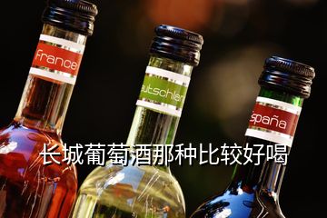 长城葡萄酒那种比较好喝