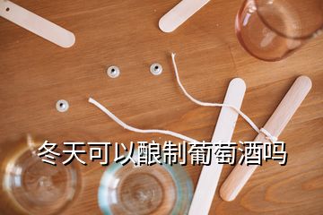 冬天可以酿制葡萄酒吗