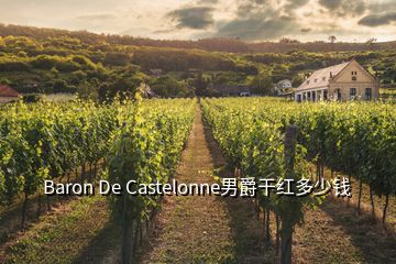 Baron De Castelonne男爵干红多少钱