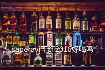 saperavi干红2016好喝吗