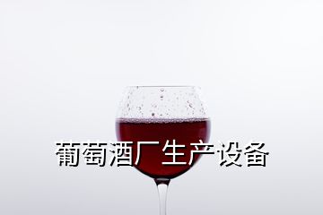 葡萄酒厂生产设备