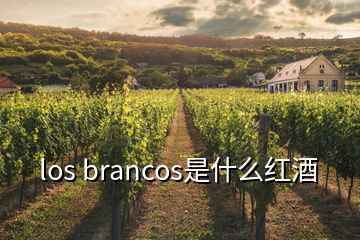 los brancos是什么红酒