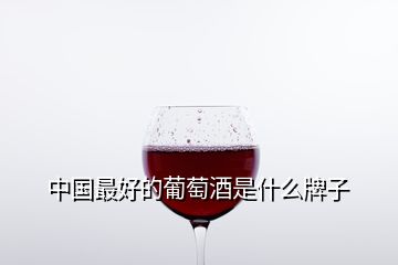 中国最好的葡萄酒是什么牌子