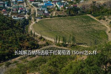 长城解百纳特选级干红葡萄酒 750ml怎么样