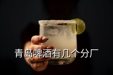 青岛啤酒有几个分厂