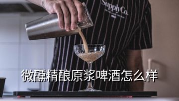 微醺精酿原浆啤酒怎么样