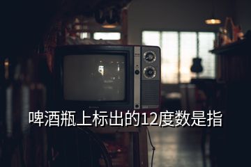 啤酒瓶上标出的12度数是指