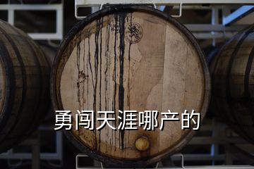 勇闯天涯哪产的