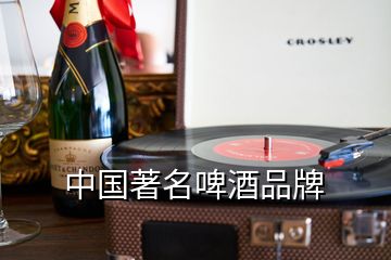 中国著名啤酒品牌