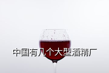 中国有几个大型酒精厂