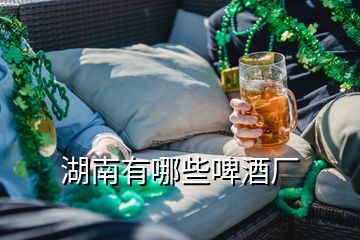 湖南有哪些啤酒厂