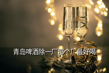 青岛啤酒除一厂那个厂最好喝