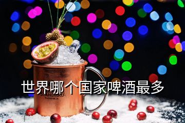 世界哪个国家啤酒最多