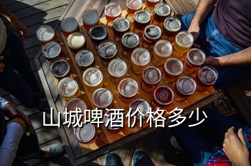 山城啤酒价格多少