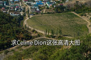 求Celine Dion这张高清大图