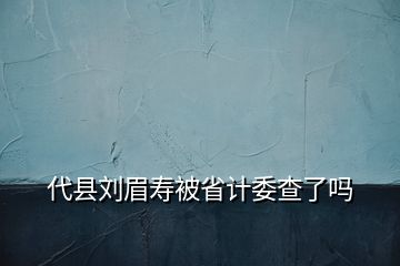 代县刘眉寿被省计委查了吗