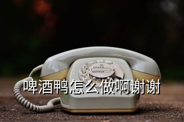 啤酒鸭怎么做啊谢谢