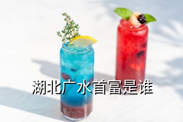 湖北广水首富是谁