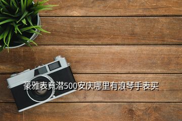 豪雅表竟潜500安庆哪里有浪琴手表买